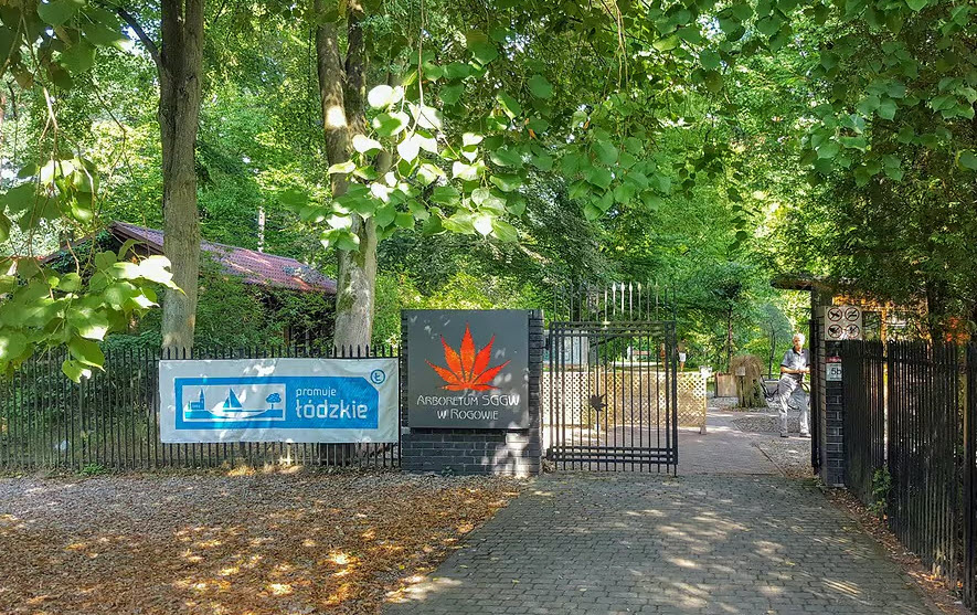 Arboretum SGGW w Rogowie, Poland, Poland
